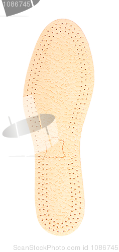 Image of Insole