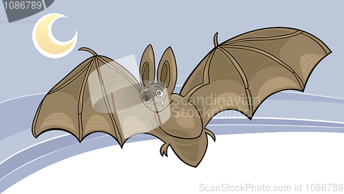 Image of vampire bat