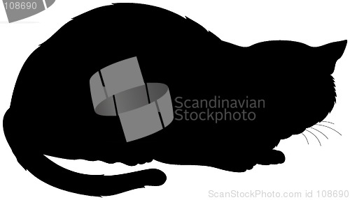 Image of silhouette of a cat