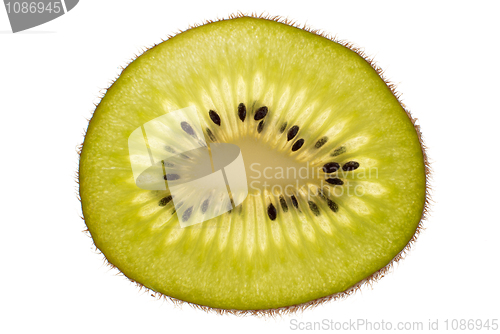 Image of Kiwi slice