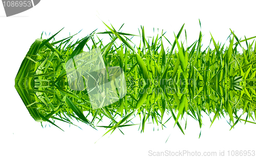 Image of grass desire