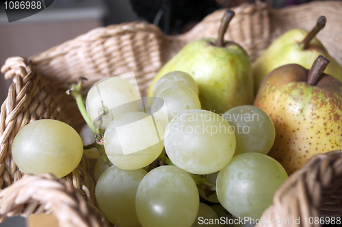 Image of Grapes in a basket 