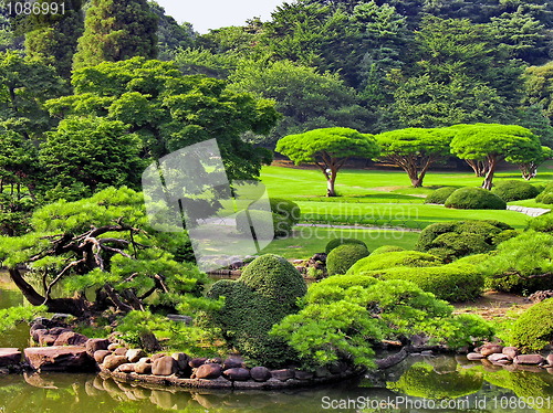 Image of Japanese Park In Summer