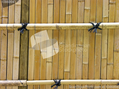 Image of Bamboo Pattern