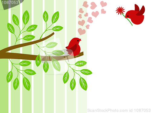 Image of Pair of Love Birds for Valentines Day