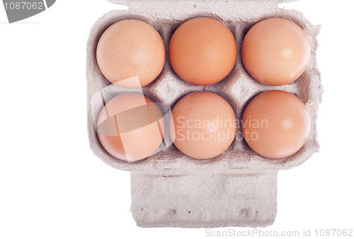 Image of Eggs in carton