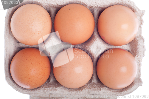 Image of Eggs in carton