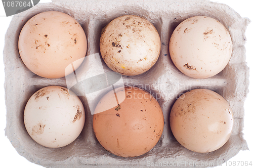 Image of Eggs in carton