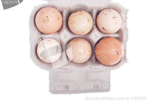 Image of Eggs in carton