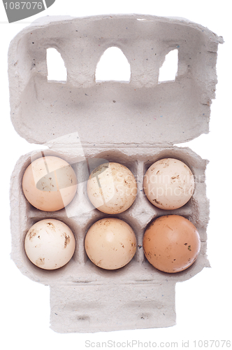 Image of Eggs in carton