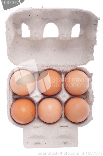 Image of Eggs in carton