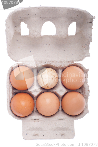Image of Egg box, differ one