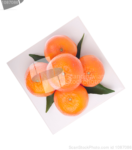 Image of Oranges
