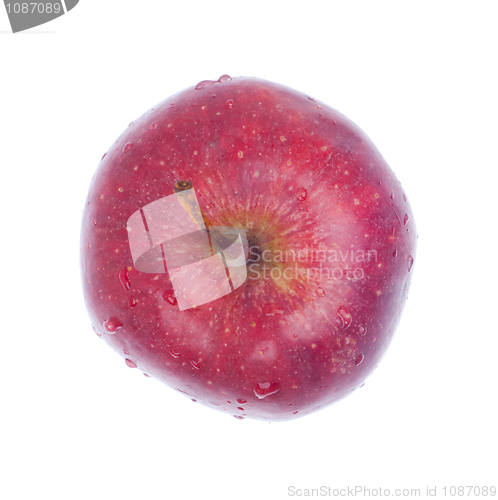 Image of Apple