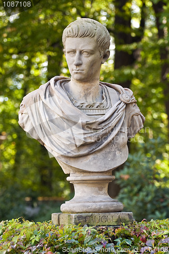 Image of Roman emperor Caligula.