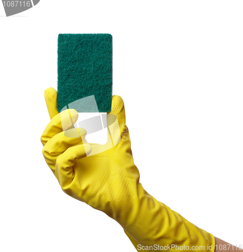 Image of Hand in glove holding washing sponge