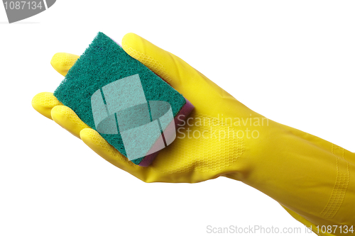 Image of Hand in glove holding washing sponge