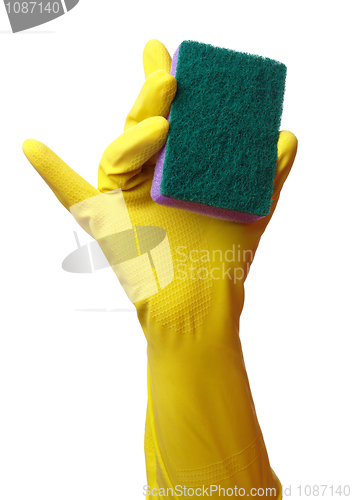 Image of Hand in glove holding washing sponge