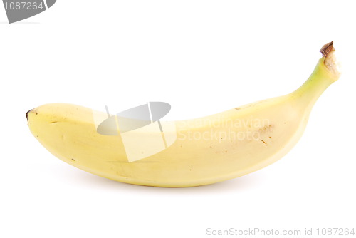 Image of Fresh banana on white