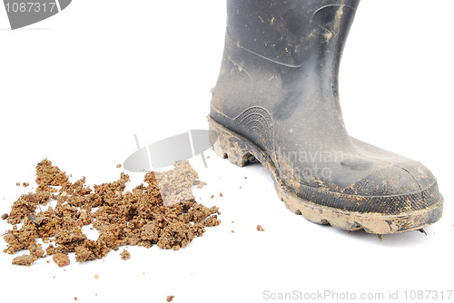 Image of Black rubber boot and soil on white