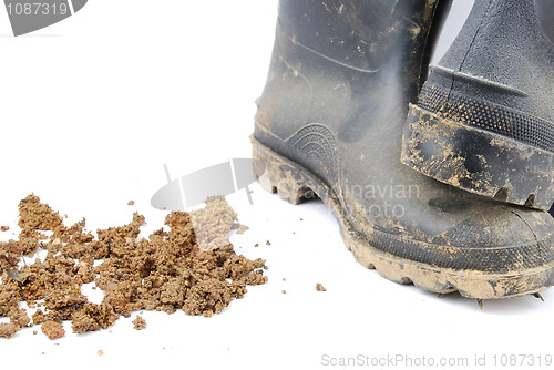 Image of Black rubber boots and soil on white