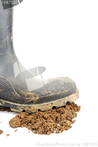 Image of Black rubber boot and soil on white