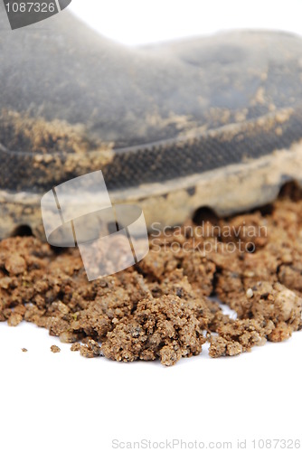 Image of Black rubber boot and soil on white (close-up)