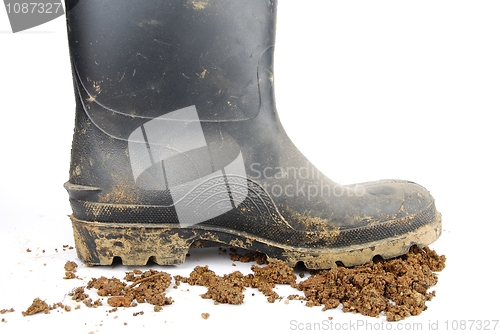Image of Black rubber boot and soil on white