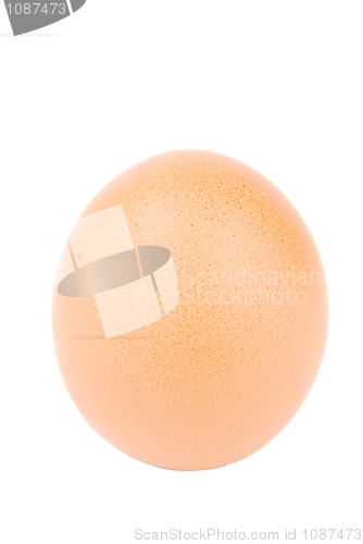 Image of Close-up of a egg on white