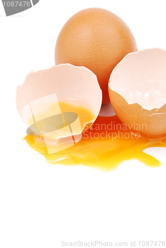 Image of Broken egg with the yolk and white oozing out