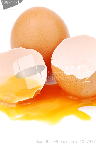 Image of Broken egg with the yolk and white oozing out