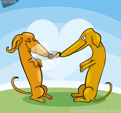 Image of Dachshund Dogs in Love