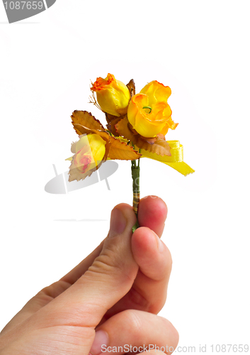 Image of  Hand With Rose