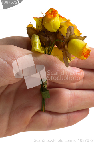 Image of  Hand With Rose