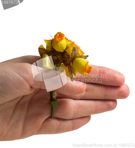 Image of  Hand With Rose
