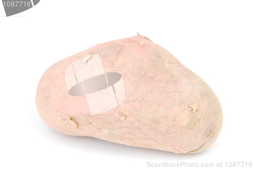 Image of Unpeeled raw potato on white