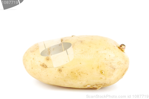 Image of Unpeeled yellow potato on white