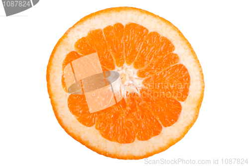 Image of Orange slice