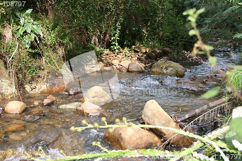 Image of Peaceful Stream