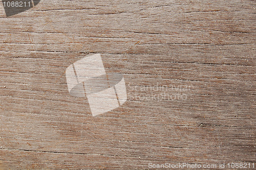 Image of Wood Texture