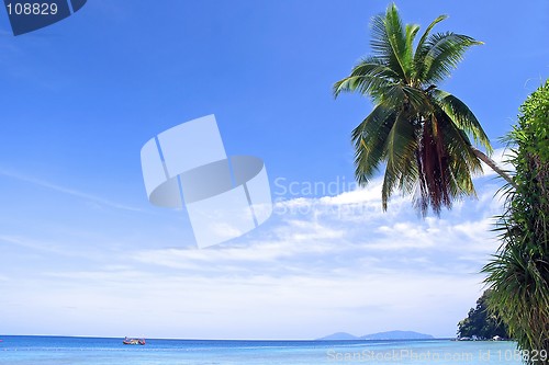 Image of Tropical Island