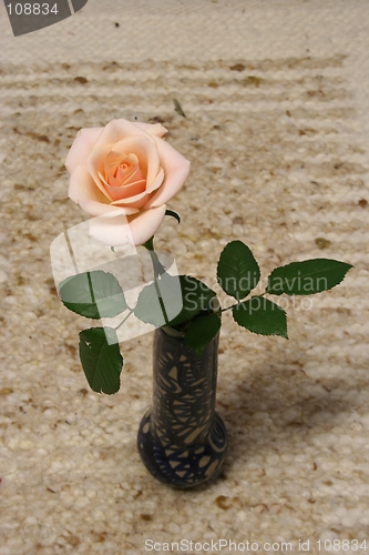 Image of Rose