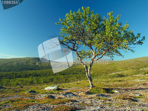 Image of Nature landscape