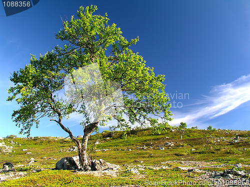 Image of Nature landscape