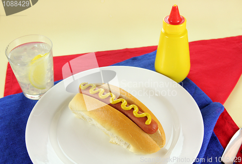 Image of Hot Dog With Mustard