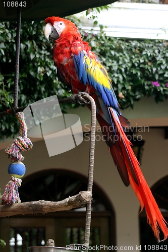 Image of costa rica