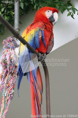 Image of costa rica