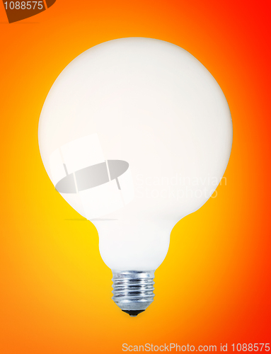 Image of White bulb