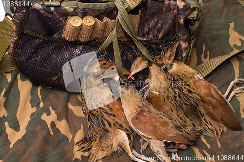 Image of Fowling bag and bird.