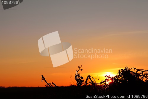 Image of Colored glow in the sky at sunset